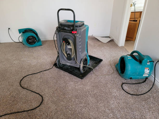 Best Water damage contractors near me  in Castle Point, MO