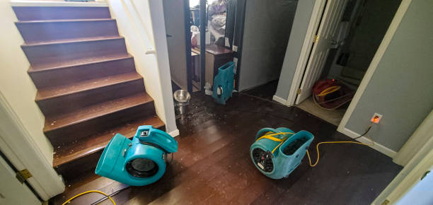 Best Water damage cleanup near me  in Castle Point, MO