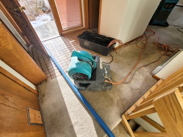 Best Fire Damage Restoration  in Castle Point, MO