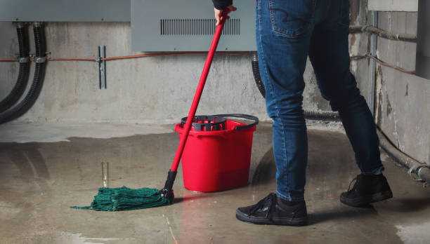  Castle Point, MO Water damage restoration Pros