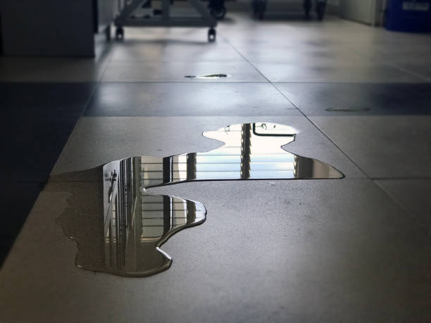 Best Water damage restoration process  in Castle Point, MO