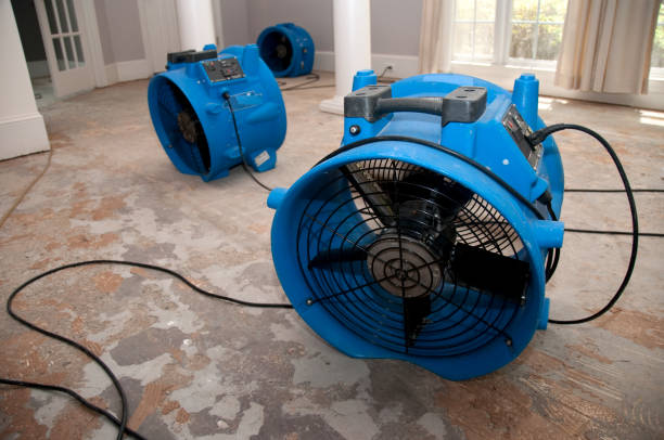 Best Ceiling water damage repair  in Castle Point, MO