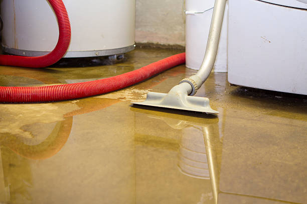 Best Professional water damage repair  in Castle Point, MO