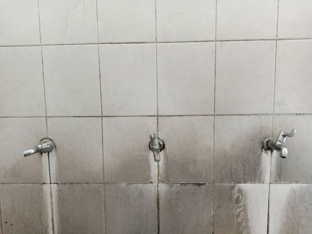 Best 24/7 water damage repair  in Castle Point, MO