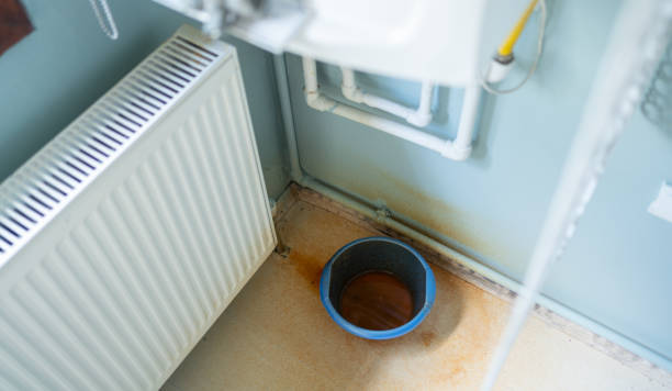 Best Water damage cleanup near me  in Castle Point, MO