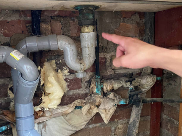 Best Professional water damage repair  in Castle Point, MO