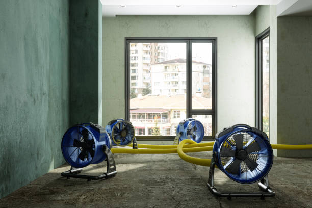 Best Emergency water damage restoration  in Castle Point, MO