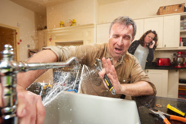 Best Mold removal after water damage  in Castle Point, MO